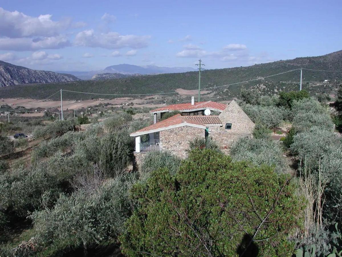 Hotel Casa In Campagna Dorgali Exteriér fotografie