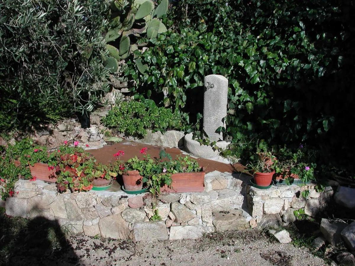 Hotel Casa In Campagna Dorgali Exteriér fotografie